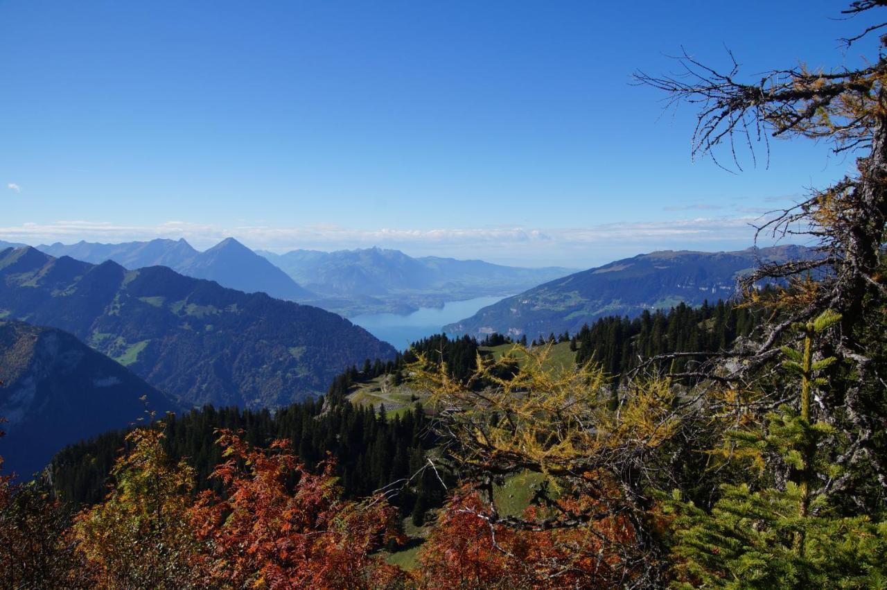 Chalet Wetterhorn Apartman Lütschenthal Kültér fotó
