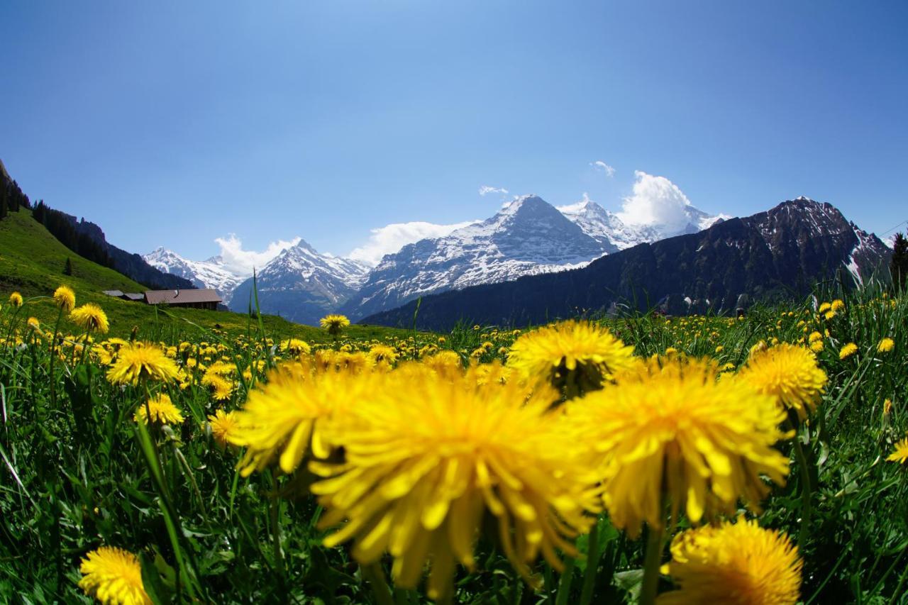 Chalet Wetterhorn Apartman Lütschenthal Kültér fotó