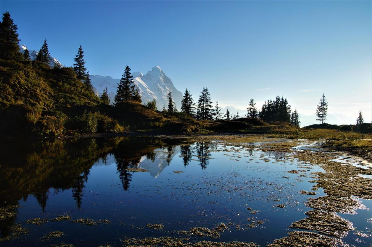 Chalet Wetterhorn Apartman Lütschenthal Kültér fotó